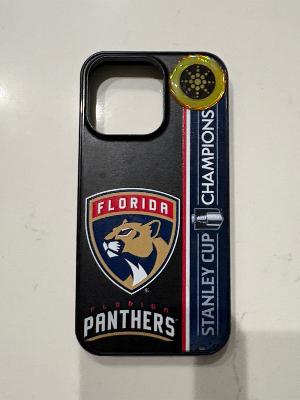 Florida Panthers Black iPhone 13 Pro Case - Stanley Cup Champions Design